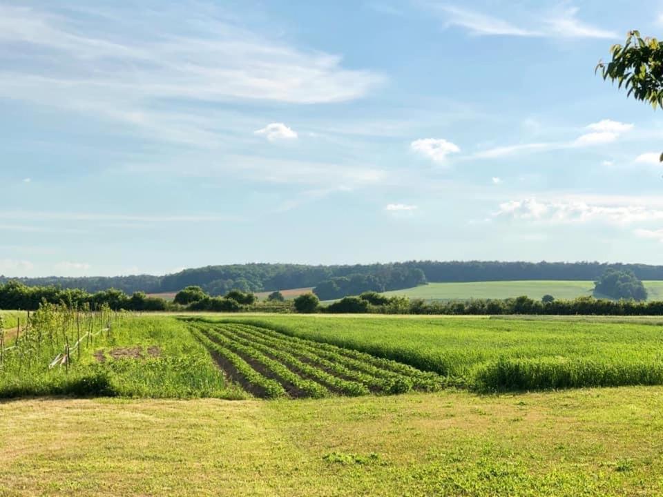 „nadbuzanski Swit” Farm stay Wola Uhruska
