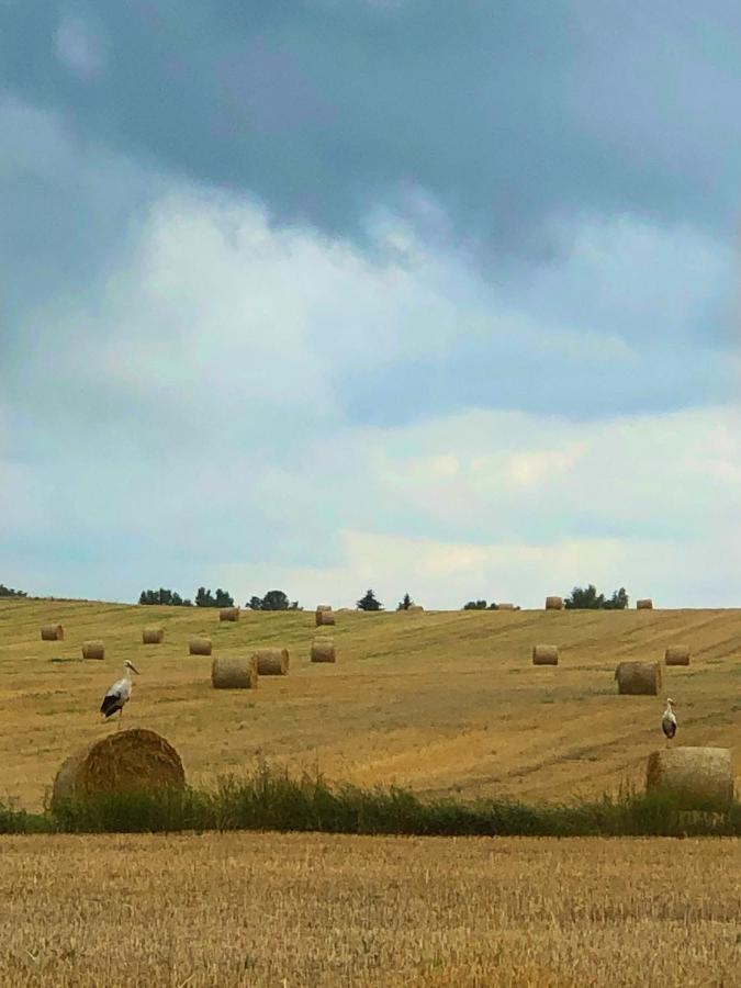 Farm stay „nadbuzanski Swit” Wola Uhruska